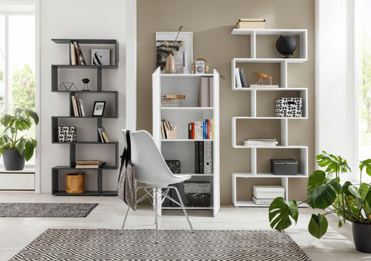 Libreria DALIA con 2 ante