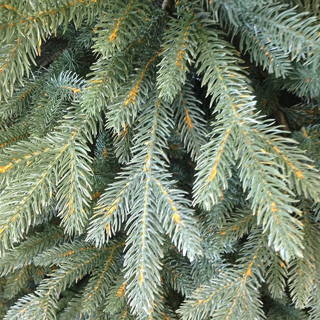 Albero "ABRAHAM" 180 CM