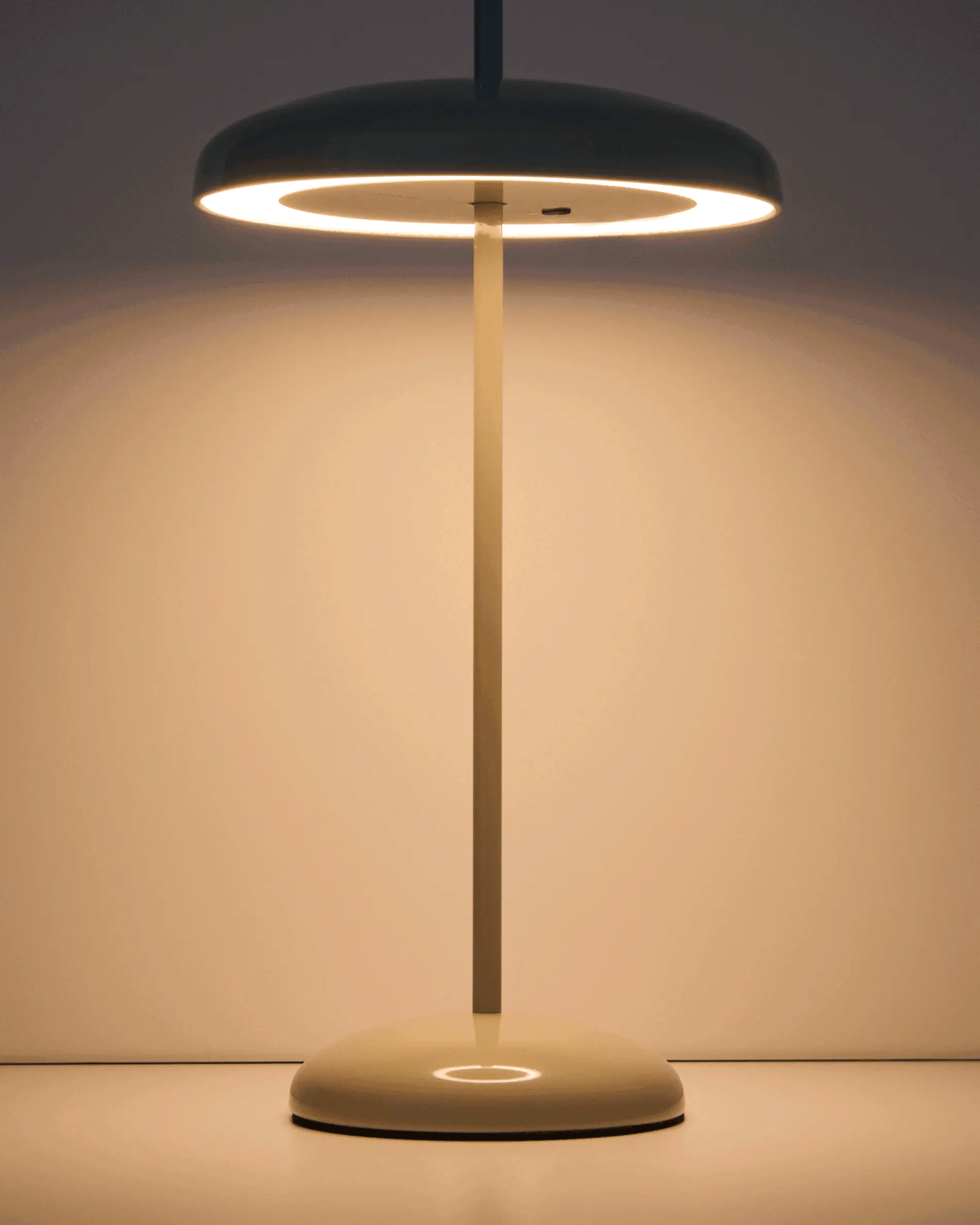 Lampada da tavolo portatile Porte in metallo verde chiaro