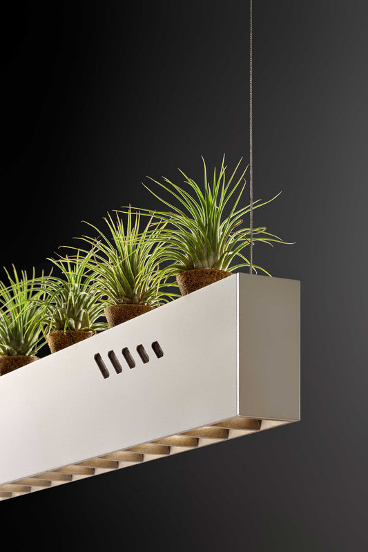 Articolo KITGREEN