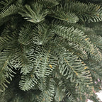 Albero "CHARLES"  210 CM