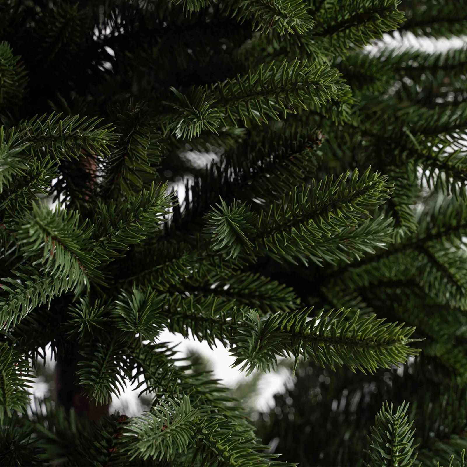 Albero "TELVE"  180 CM